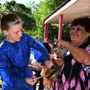 OPERATIVO CASTRACIÓN DE MASCOTAS EN RESISTENCIA